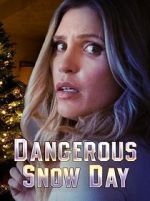 Watch Dangerous Snow Day Watch123movies