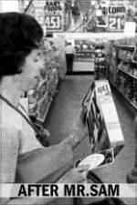 Watch After Mr. Sam Watch123movies