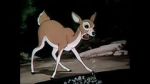 Watch Wacky Wildlife (Short 1940) Watch123movies