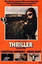 Watch Thriller: A Cruel Picture Watch123movies