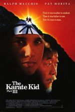 Watch The Karate Kid Part III Watch123movies