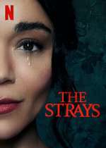 Watch The Strays Watch123movies