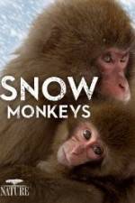 Watch Nature: Snow Monkeys Watch123movies