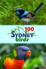 Watch 100 Sydney Birds Watch123movies