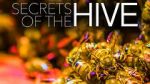 Watch Secrets of the Hive Watch123movies