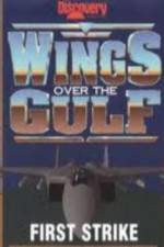 Watch Wings Over the Gulf Vol  1  First Strike Watch123movies