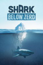 Watch Shark Below Zero Watch123movies