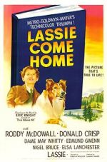 Watch Lassie Come Home Watch123movies