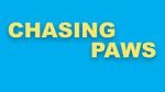 Watch Chasing Paws (Short 2020) Watch123movies