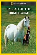 Watch Ballad of the Irish Horse Watch123movies