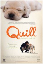 Watch Quill: The Life of a Guide Dog Watch123movies
