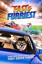 Watch Fast and Furriest Watch123movies