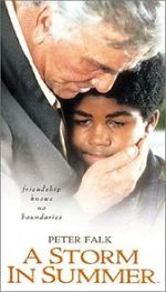 Watch A Storm in Summer Watch123movies