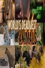 Watch National Geographic - Worlds Deadliest Animal Battles Watch123movies
