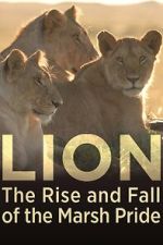 Watch Lion: The Rise and Fall of the Marsh Pride Watch123movies
