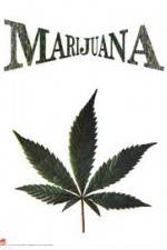 Watch Nederwiet De Moevie Watch123movies