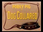 Watch Dog Collared (Short 1950) Watch123movies