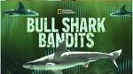 Watch Bull Shark Bandits Watch123movies