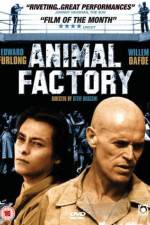 Watch Animal Factory Watch123movies