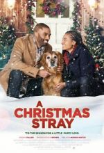 Watch A Christmas Stray Watch123movies