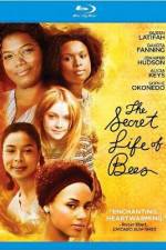 Watch The Secret Life of Bees Watch123movies