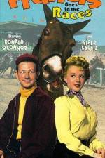 Watch Francis Goes to the Races Watch123movies