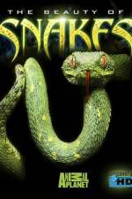 Watch The Beauty of Snakes Watch123movies