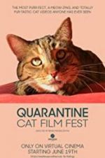 Watch Quarantine Cat Film Fest Watch123movies