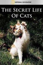 Watch The Secret Life of Cats Watch123movies