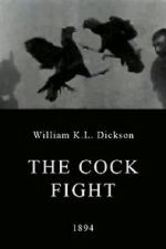 Watch The Cock Fight Watch123movies