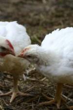 Watch Meet Your Meat Watch123movies