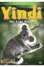 Watch Yindi the Last Koala Watch123movies