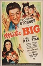 Watch Mister Big Watch123movies