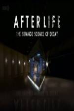 Watch After Life: The strange Science Of Decay Watch123movies