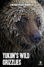 Watch Yukon\'s Wild Grizzlies Watch123movies