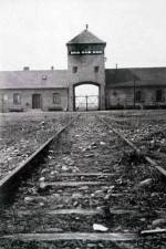 Watch AUSCHWITZ: FRENZIED KILLING Watch123movies