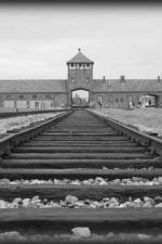 Watch AUSCHWITZ: ORDERS AND INITIATIVES Watch123movies