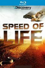 Watch Speed of Life Watch123movies