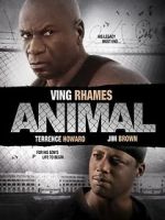 Watch Animal Watch123movies