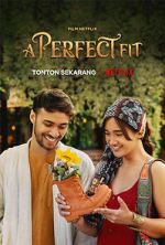 Watch A Perfect Fit Watch123movies