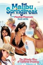 Watch Malibu Spring Break Watch123movies