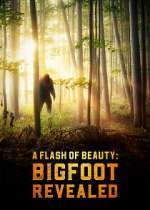Watch A Flash of Beauty: Bigfoot Revealed Watch123movies