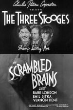 Watch Scrambled Brains Watch123movies