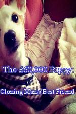 Watch The £60,000 Puppy: Cloning Man's Best Friend Watch123movies