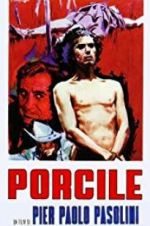 Watch Porcile Watch123movies