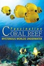 Watch Fascination Coral Reef: Mysterious Worlds Underwater Watch123movies