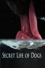 Watch Secret Life of Dog Watch123movies