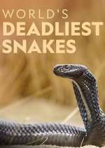 Watch World's Deadliest Snakes Watch123movies