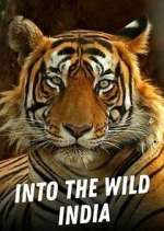 Watch Into the Wild India Watch123movies