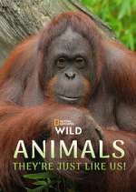 Watch Animals, They\'re Just Like Us! Watch123movies